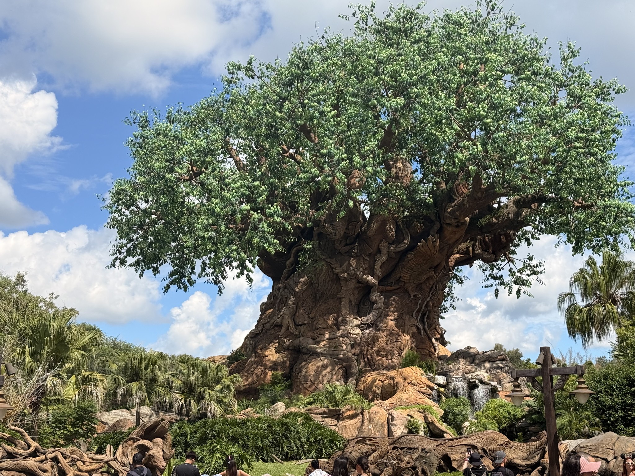 Tree of Life